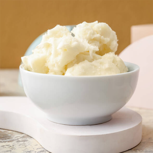 [��ʪ�Х���]�������Х����ʥ������˥å���