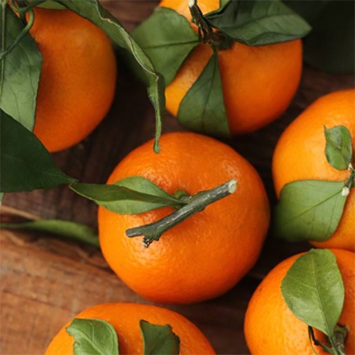 [�ե졼�С�������]����󥸡��ޥ�����