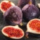 [�ե쥰��󥹥�����]�����¤��ʥե�����