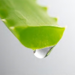 [ŷ����]ǻ�̥������٥�ꥭ�åɡ��������