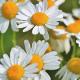 [����]����ߡ��른�㡼�ޥ󡦥������˥å�
