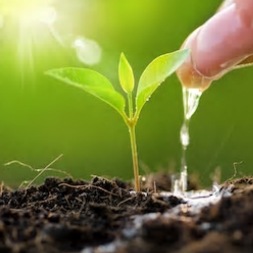 �ե�ܻ��ꥭ�å�