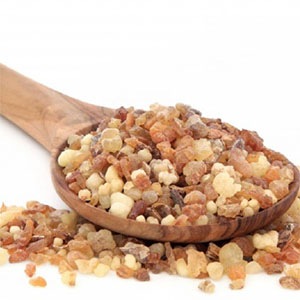 [˧α]ե󥭥󥻥󥹡ʥ˥å