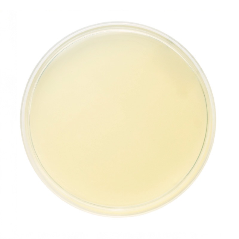 ��ʬ�ҥ������