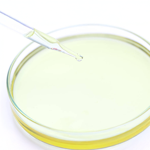 �֥饤�ȥ˥󥰥ӥ��ߥ�C