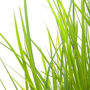 [����]�ѥ�ޥ��������������˥å�