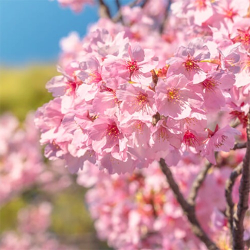 [�ե쥰��󥹥�����]������