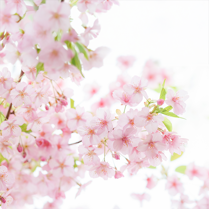 [�ե쥰��󥹥�����]������