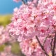 [�ե쥰��󥹥�����]������