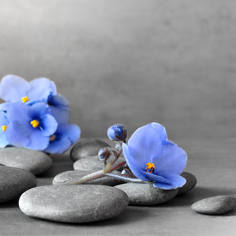 [�ե쥰��󥹥�����]�Х�����å�