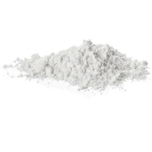 �ȥ�ͥ������