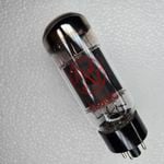 Peavey - ������ 6L6 GC�� ��1�ܤ��ĤΥХ����Ǥ���