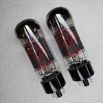 Peavey - ������ 6L6 GC�� 2�ܥޥå��ɥ��å�