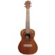 Bamboo Ukulele - Kailua Concert Ukulele