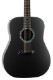 Composite Acoustics - CA LEGACY Satin Black Raw (TA)�ں߸˸¤��ʬ�ò���