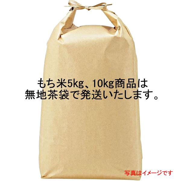 令和5年産【もち白米】宮城県産もち白米 10kg