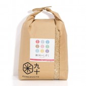 【新米】令和7年産 岩手県産 銀河のしずく 10kg【玄米】