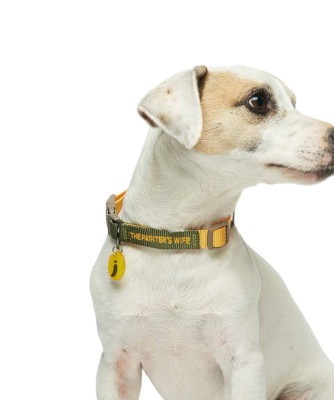 SONIA COLLAR - YELLOW/KHAKI