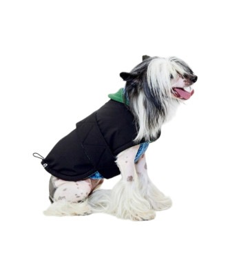 FUTON DOG COAT 23'Model - BLACK