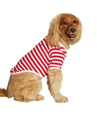 DAVID ORGANIC COTTON DOG T-SHIRT - RED