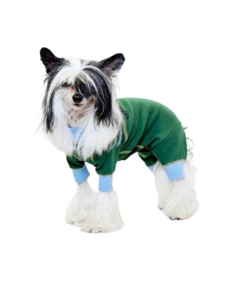 ACTIVE DOG ROMPERS - GREEN/SKYBLUE