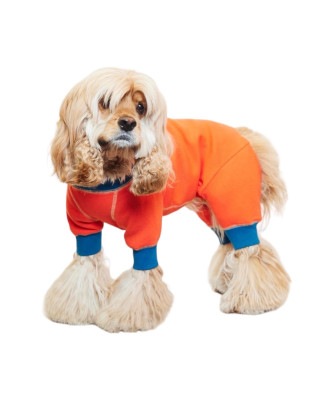 ACTIVE DOG ROMPERS - ORANGE/BLUE