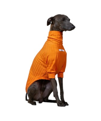PRISMA for GALGO ITALIANO / WHIPPET - ORANGE