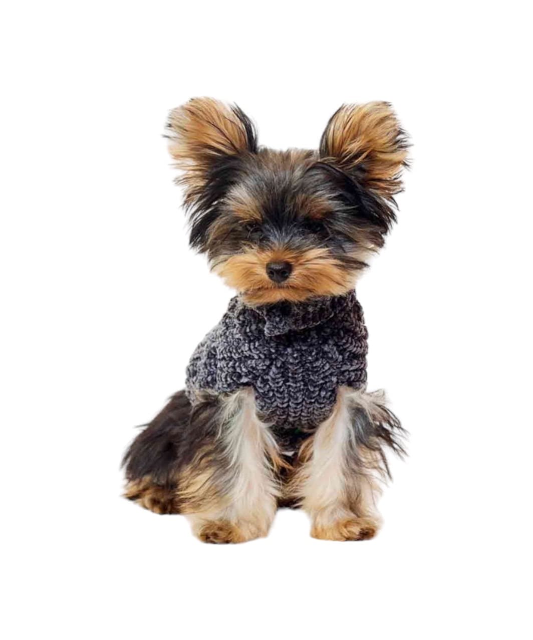 CHENILLE YARN SWEATER - BLACK