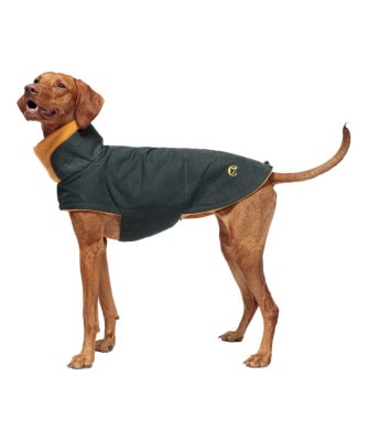 HUNDEMANTEL BROOKLYN WAXED COTTON PETROL - BLACK/YELLOW