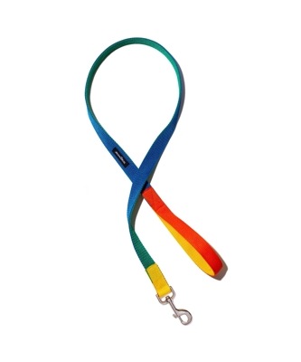 MEMPHIS LEASH - YELLOW/BLUE