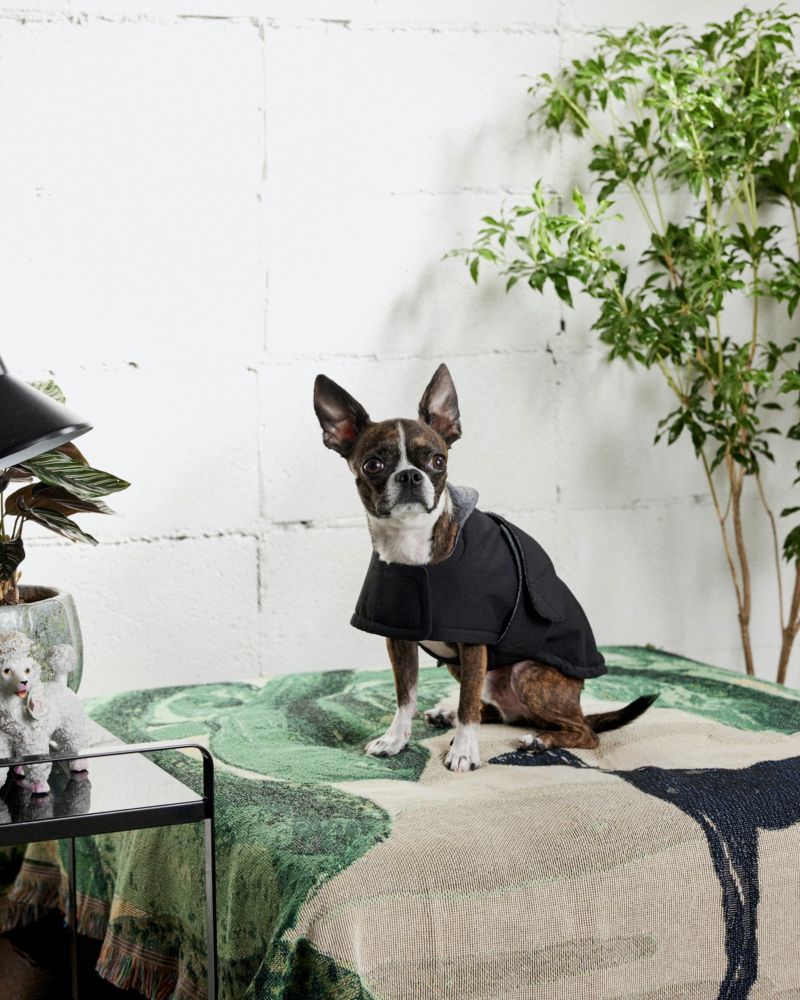 FUTON DOG COAT - BLACK/GREY