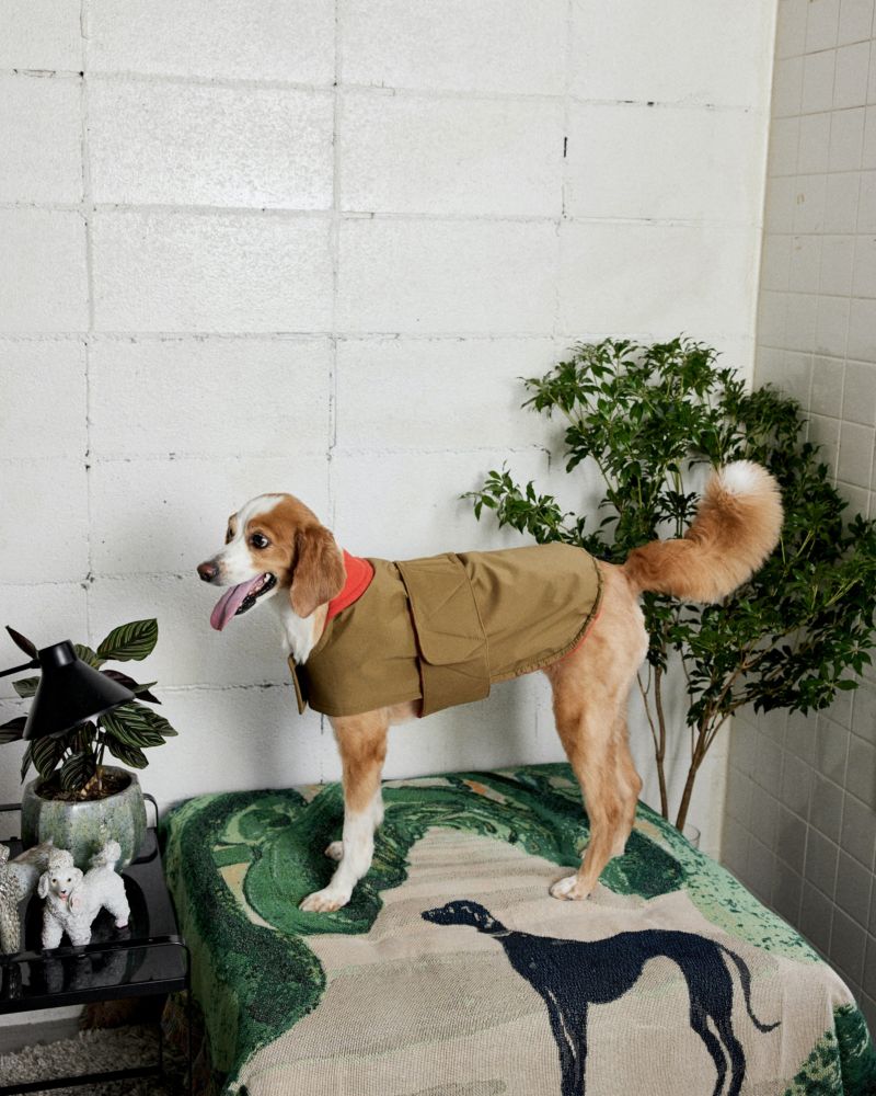 FUTON DOG COAT - KHAKI/RED