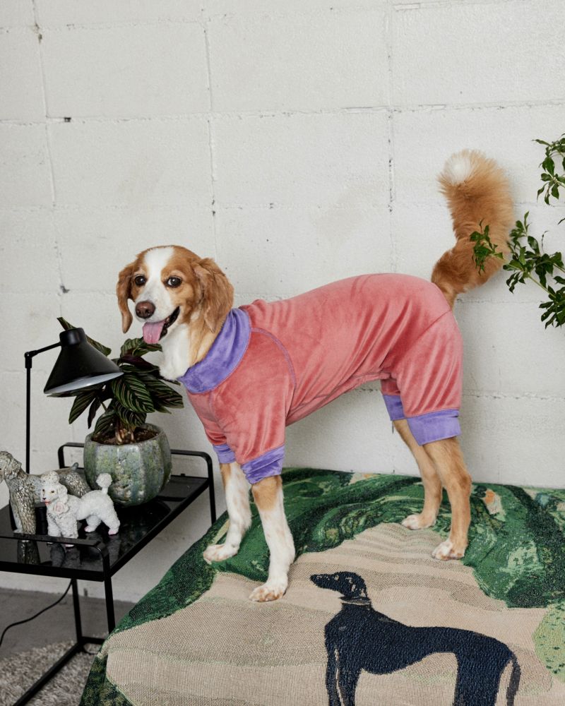 FUR VELOUR ROMPERS - PNK/PPL