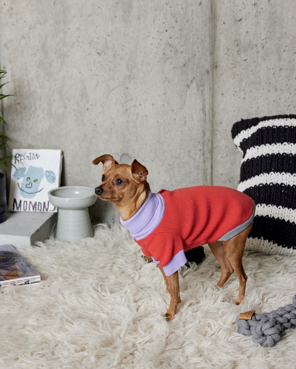 ニットの一覧ページ | おしゃれなドッグウェアの通販ならPEGION