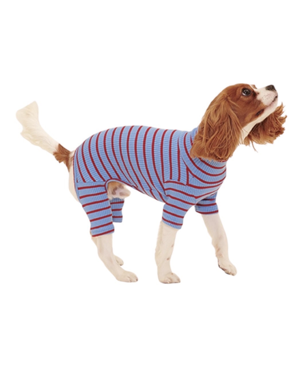 STUDENT LOAN ONESIE - BLUE/RED