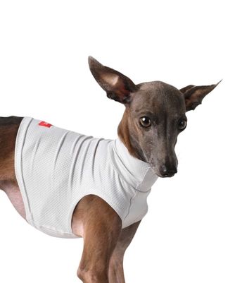 LAYER-FREEZING CUT - SILVER|vemvem|BRAND