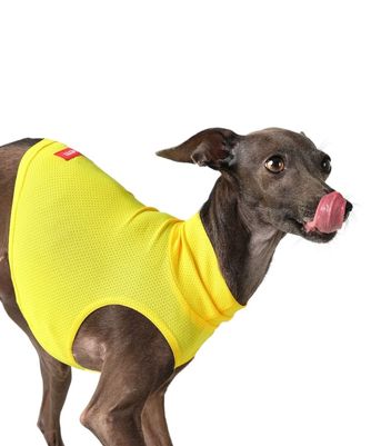 LAYER-FREEZING CUT - YELLOW|vemvem|BRAND