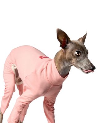 BALLET LIGHT SLIM - PINK