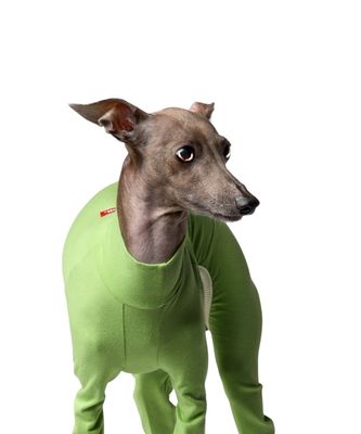 BALLET LIGHT SLIM - GREEN