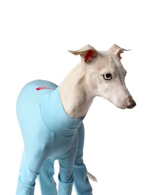BALLET LIGHT SLIM - BLUE