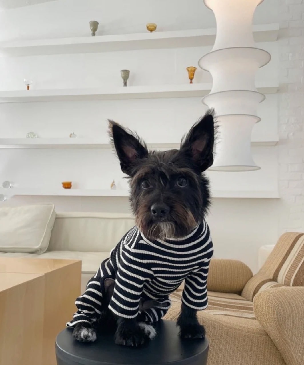 CAFE IN PARIS ONESIE - BLACK/WHITE