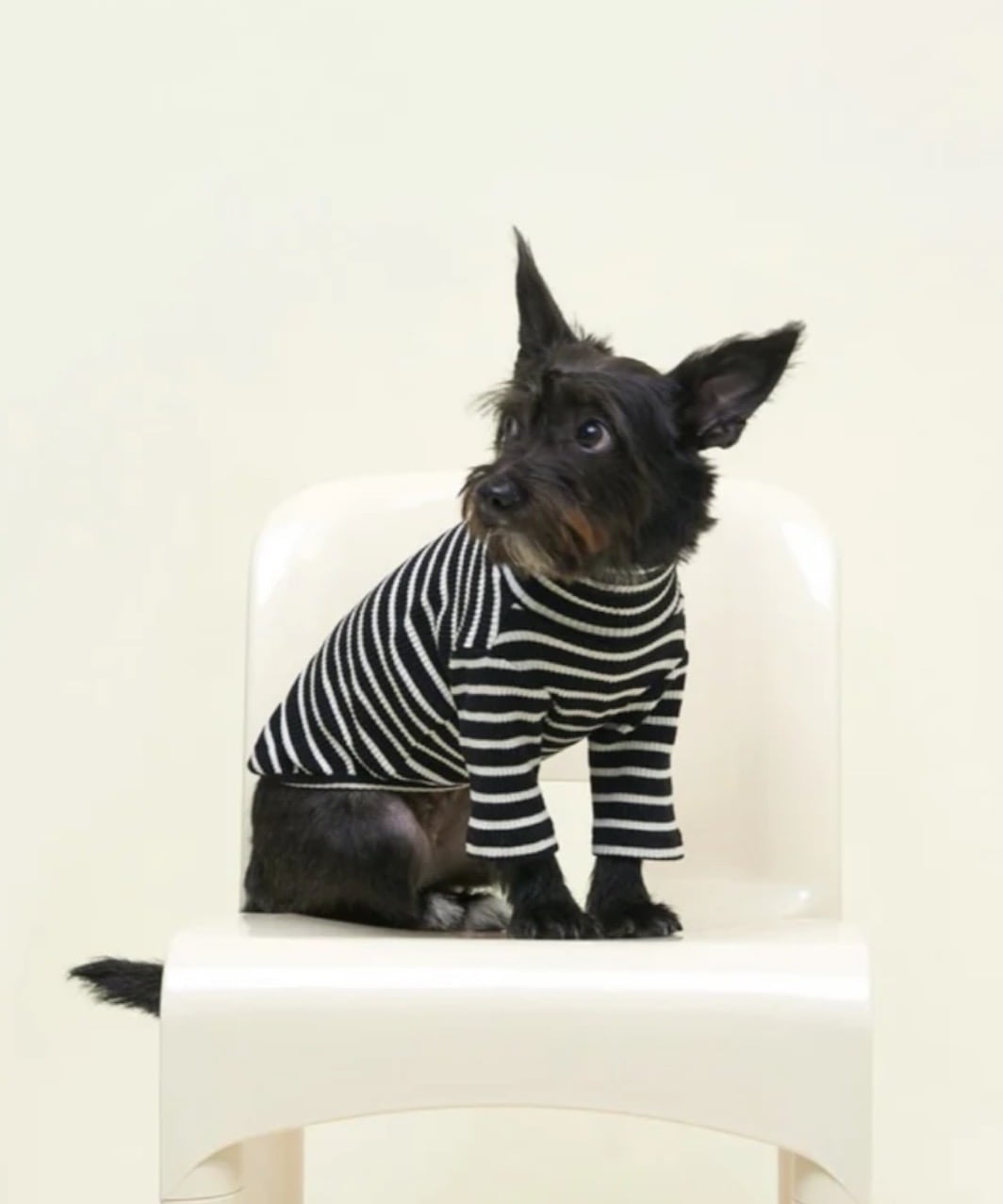 CAFE IN PARIS SHIRT - BLACK/WHITE