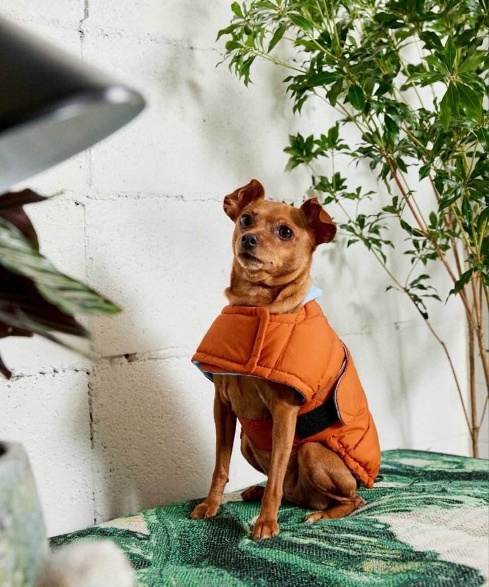 EASY DOWN COAT - BURNT ORANGE