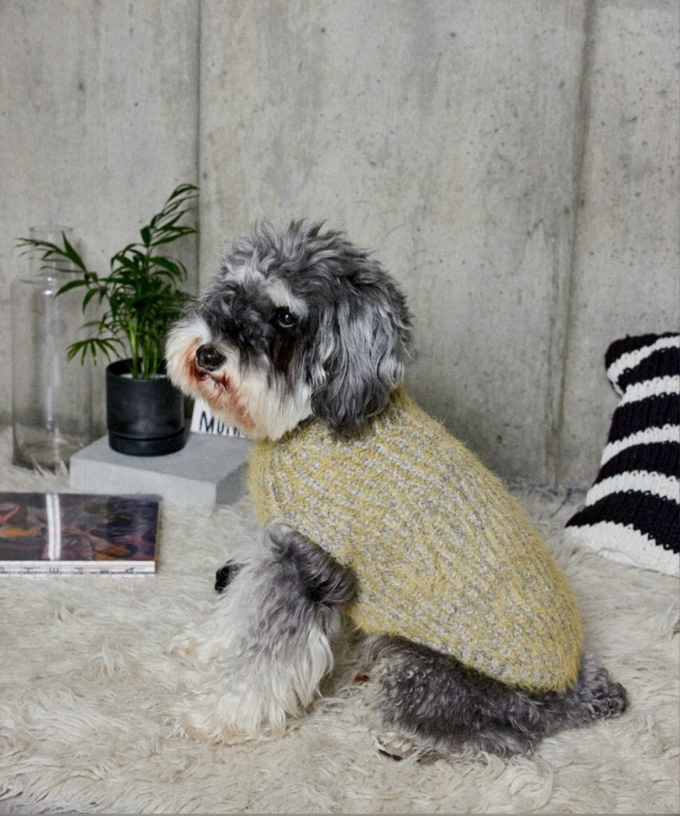 FUZZ SWEATER - GREY/YELLOW