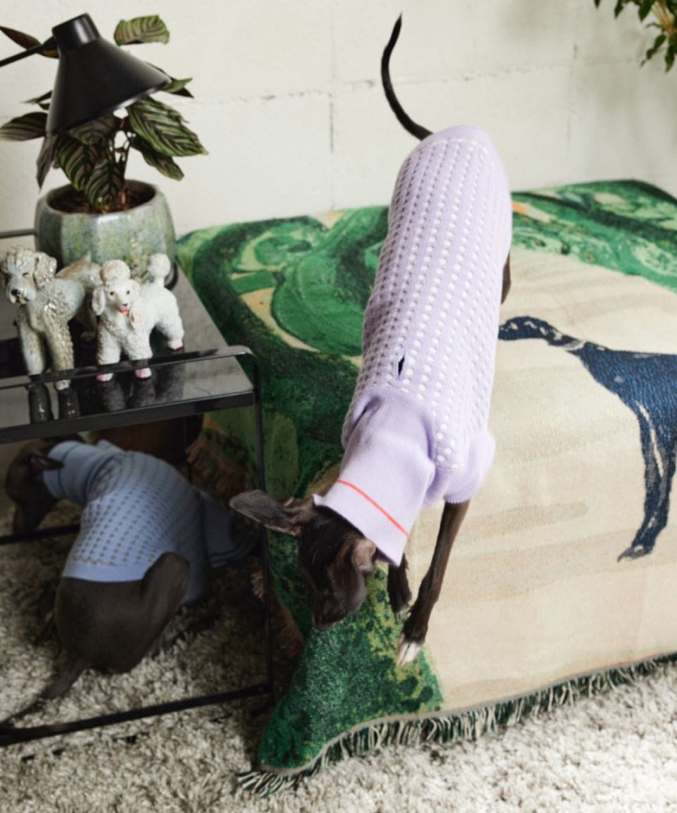 PIQUE SWEATER-LAVENDER