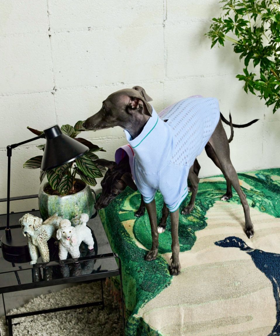 PIQUE SWEATER-BABY BLUE