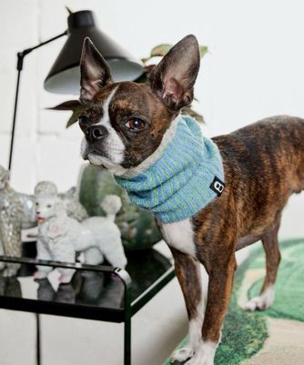 RIBLET NECK WARMER - OCEAN BLUE/MINT GREEN