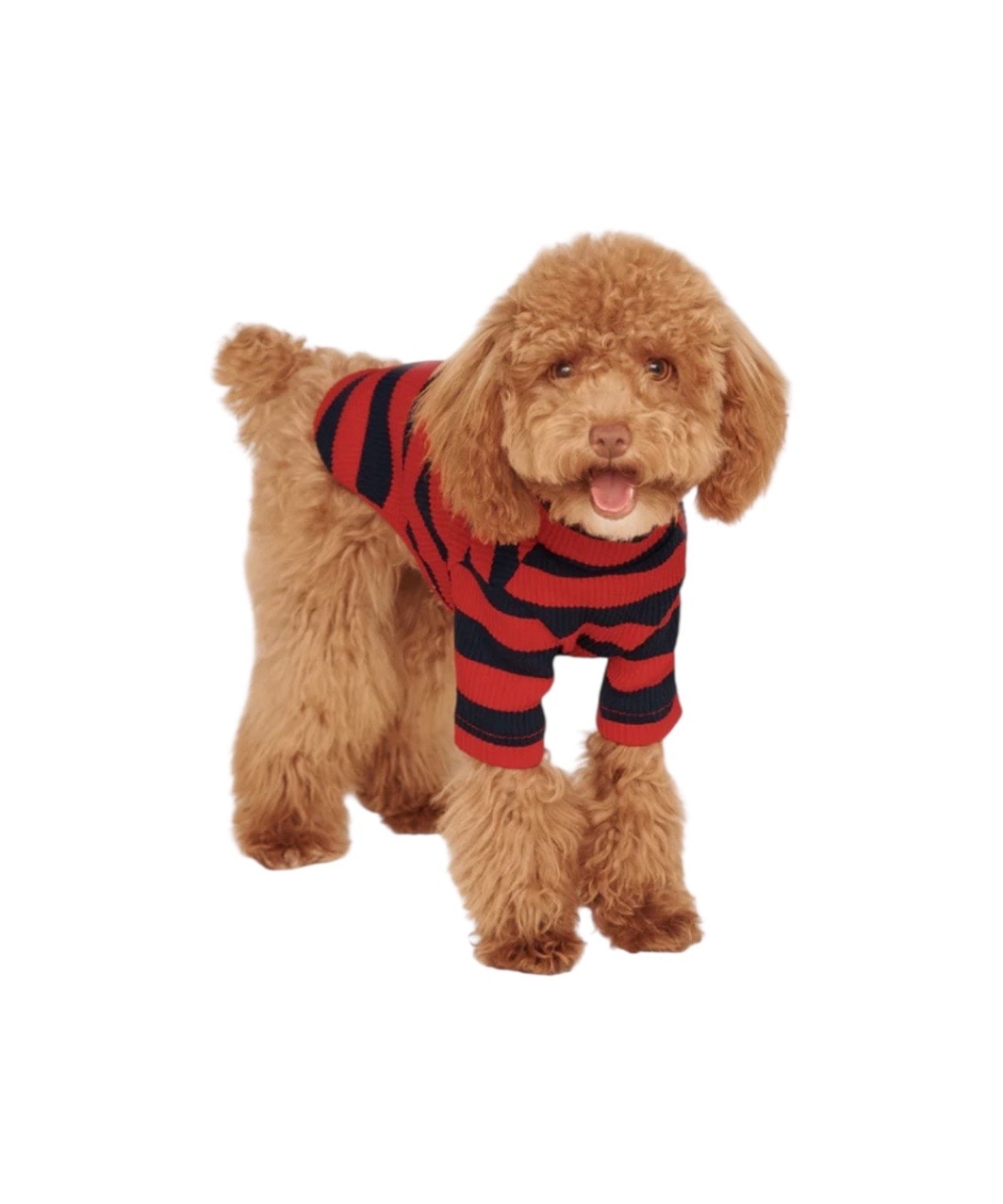 IVY LEAGUE SHIRT - RED/BLACK