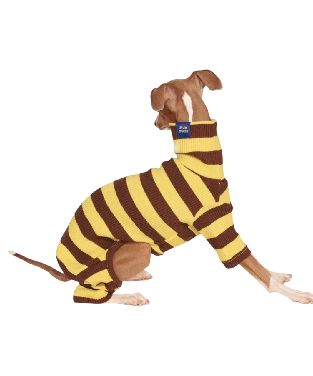 DIJON ONESIE - YELLOW/BROWN