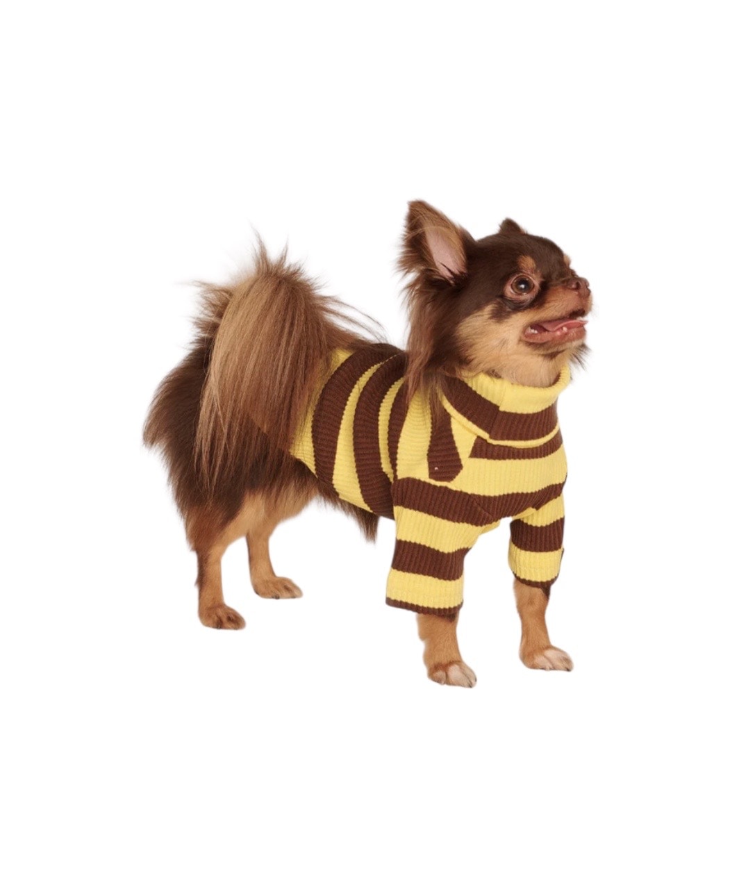 DIJON SHIRT - YELLOW/BROWN